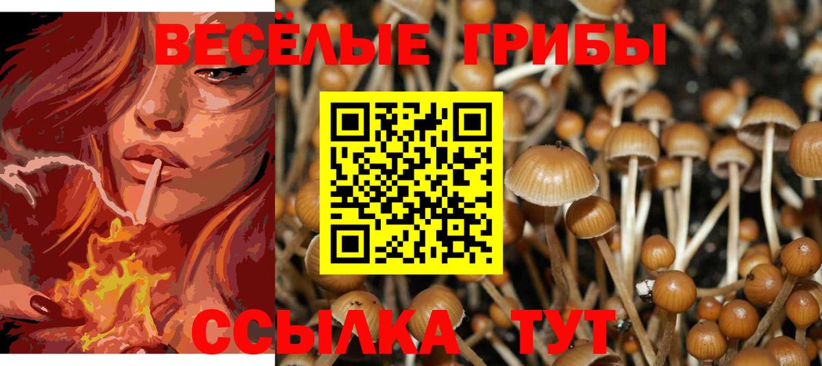 Псилоцибиновые грибы Psilocybe  Вход с VPN  Галлюциногенные грибы MAGIC MUSHROOMS  Альметьевск 